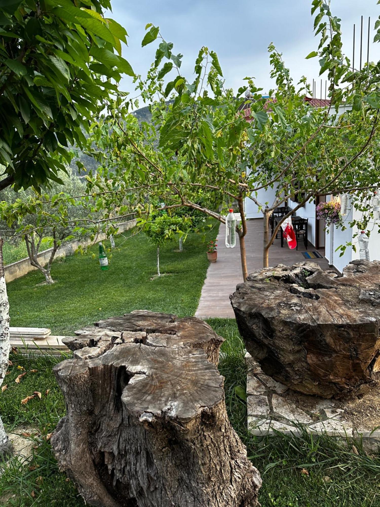 Guest House Gorani Berat Luaran gambar